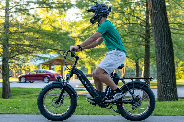 HAOQI Antelope Pro 750W Cargo Electric Bike (UL Certified)- Top Speed 20mph