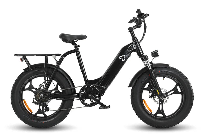 kinderfahrrad antilope HAOQI Antelope 500W Cargo Electric Bike (UL Certified)