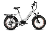 HAOQI Antelope Pro 750W Cargo Electric Bike (UL Certified)- Top Speed 20mph