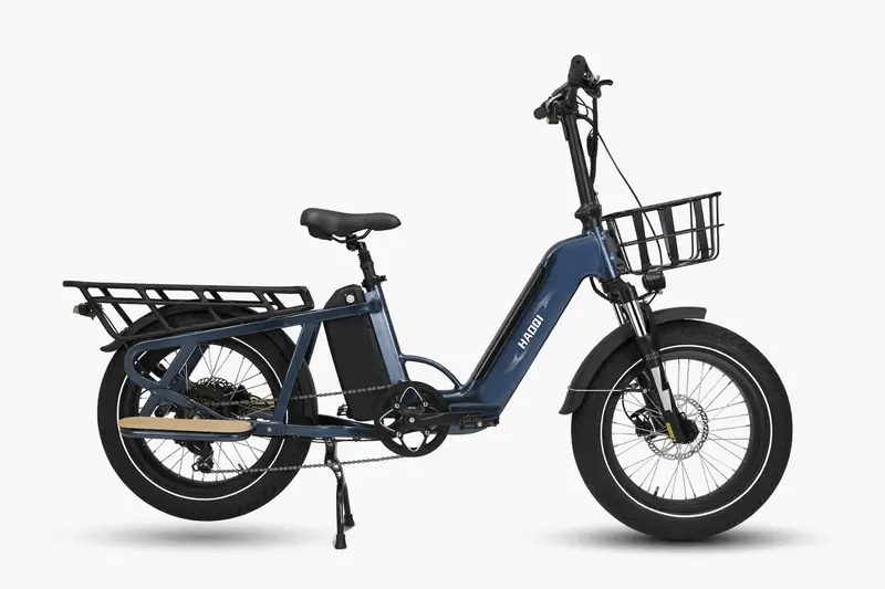 HAOQI Camel Electric Cargo Bike - Latest SUV Ebike (UL Certified)