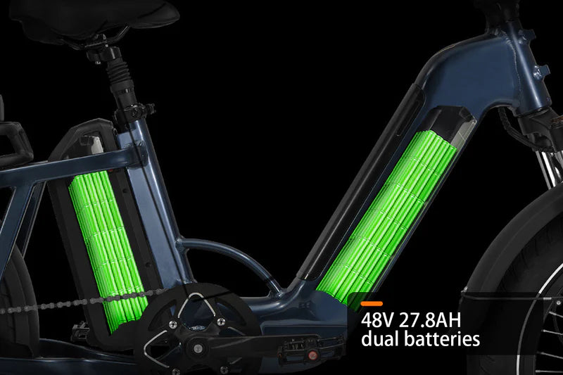 HAOQI Camel Electric Cargo Bike - Latest SUV Ebike (UL Certified)