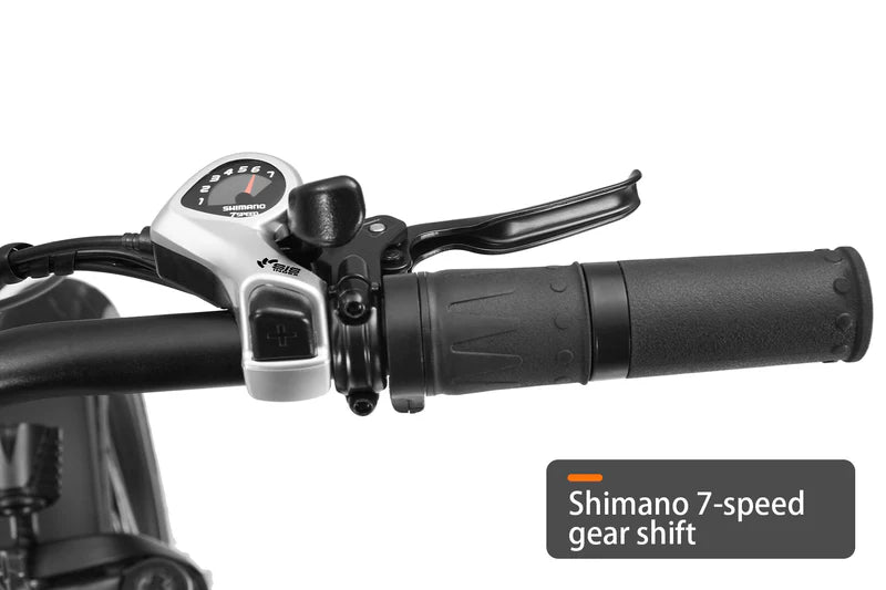 HAOQI Camel Electric Cargo Bike - Latest SUV Ebike (UL Certified)