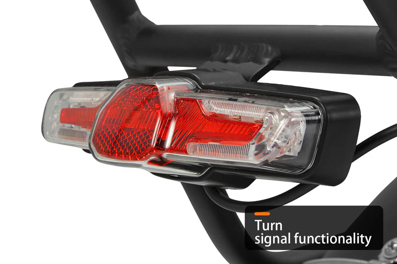 HAOQI Camel Electric Cargo Bike - Latest SUV Ebike (UL Certified)