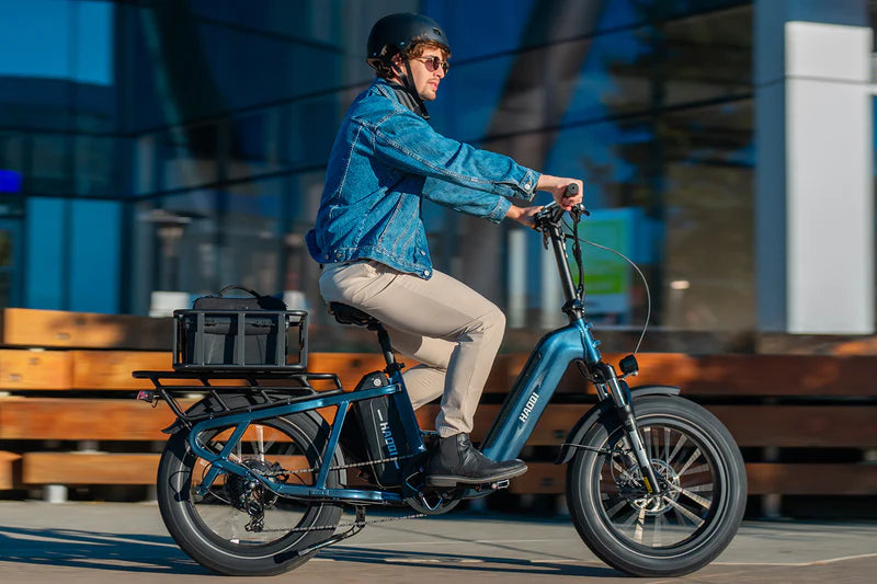 HAOQI Camel Electric Cargo Bike - Latest SUV Ebike (UL Certified)