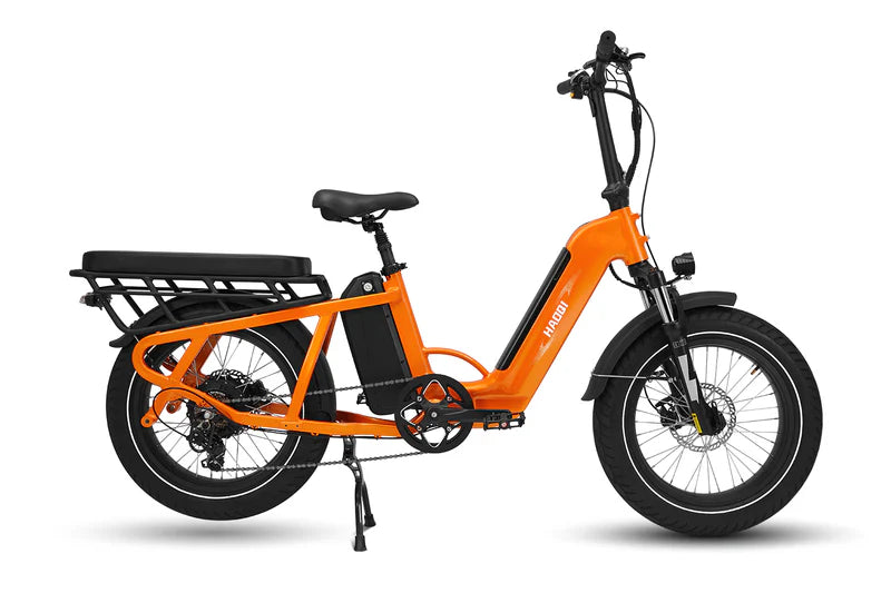 HAOQI Camel Electric Cargo Bike - Latest SUV Ebike (UL Certified)