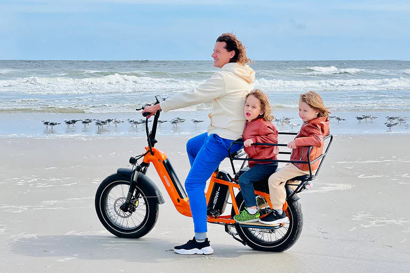 HAOQI Camel Electric Cargo Bike - Latest SUV Ebike (UL Certified)