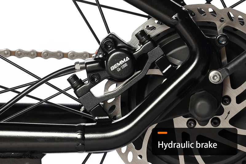 HAOQI Cheetah Full Suspension Electric Bike (UL Certified)