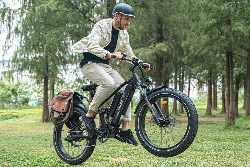 HAOQI Cheetah Full Suspension Electric Bike (UL Certified)