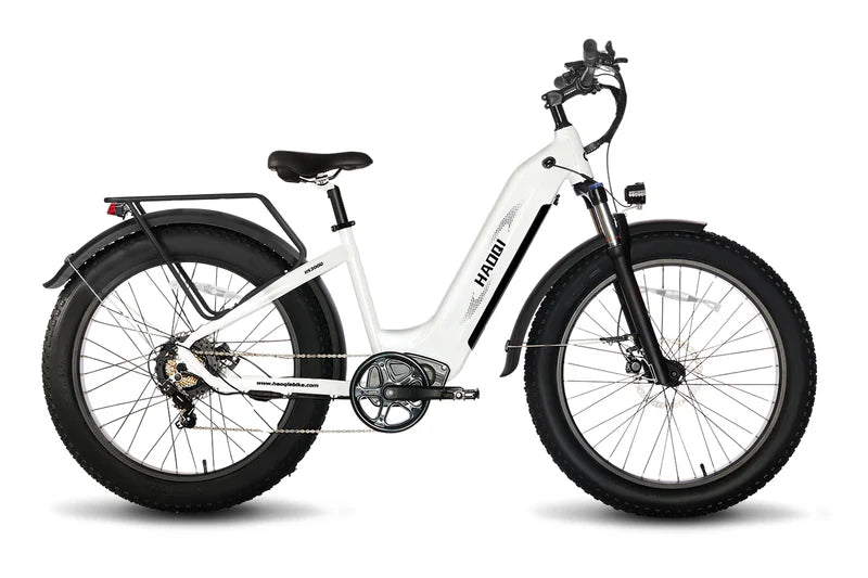 HAOQI Eagle Long Range Electric Bicycle (UL Certified)