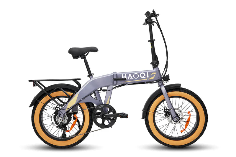 HAOQI Squirrel Folding Electric Bike (UL Certified)
