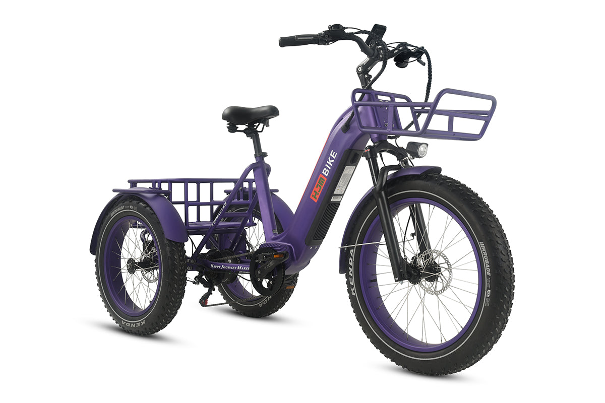 HJM TriHauler Pro Cargo 1000W Rear-Drive Fat Tire Etrike (Fully Assembled)