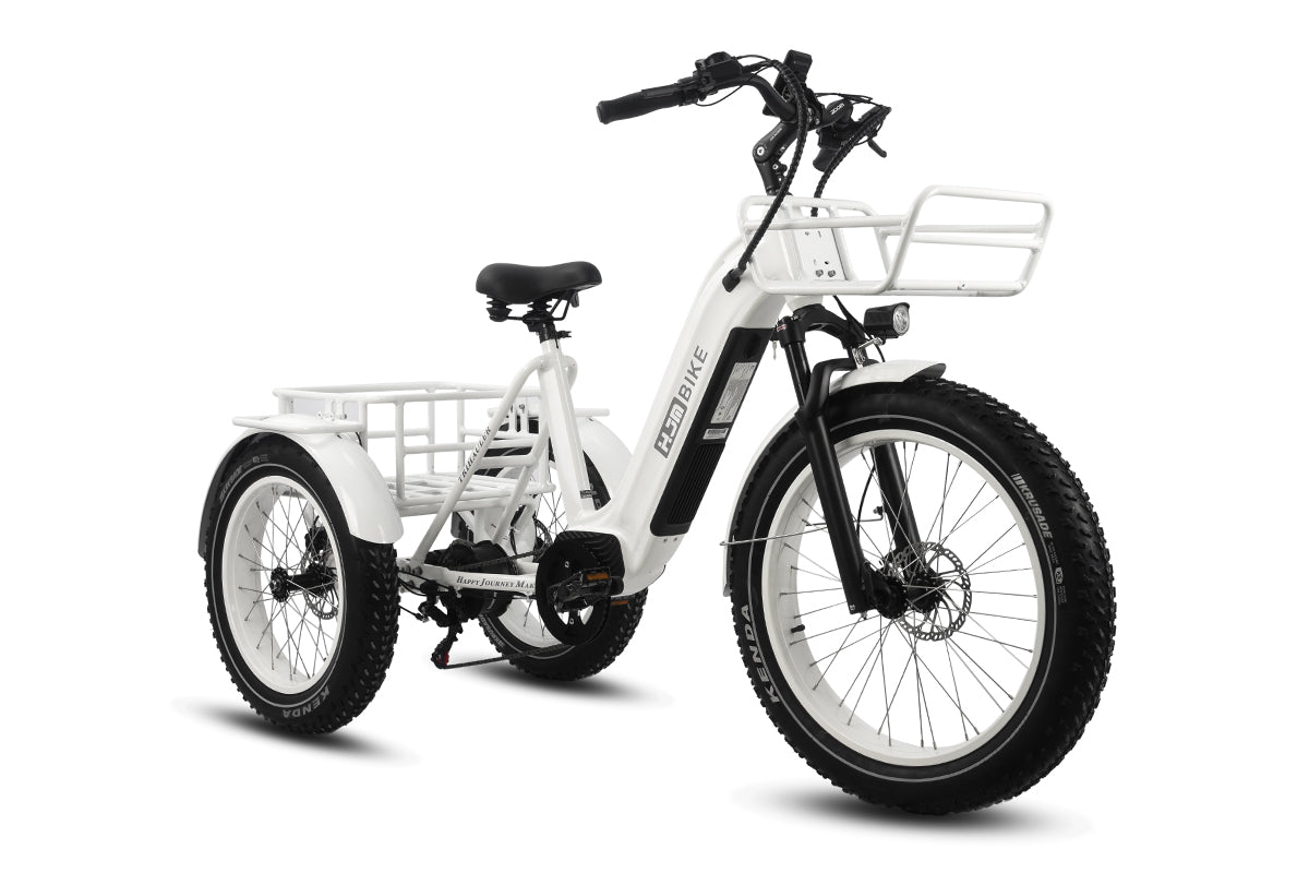 HJM TriHauler Pro Cargo 1000W Rear-Drive Fat Tire Etrike (Fully Assembled)