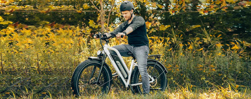 Himiway D5 Plus(Rhino) Dual Battery Off-road Electric Bike