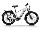 Himiway D5(Zebra) Premium All-terrain Electric Fat Bike