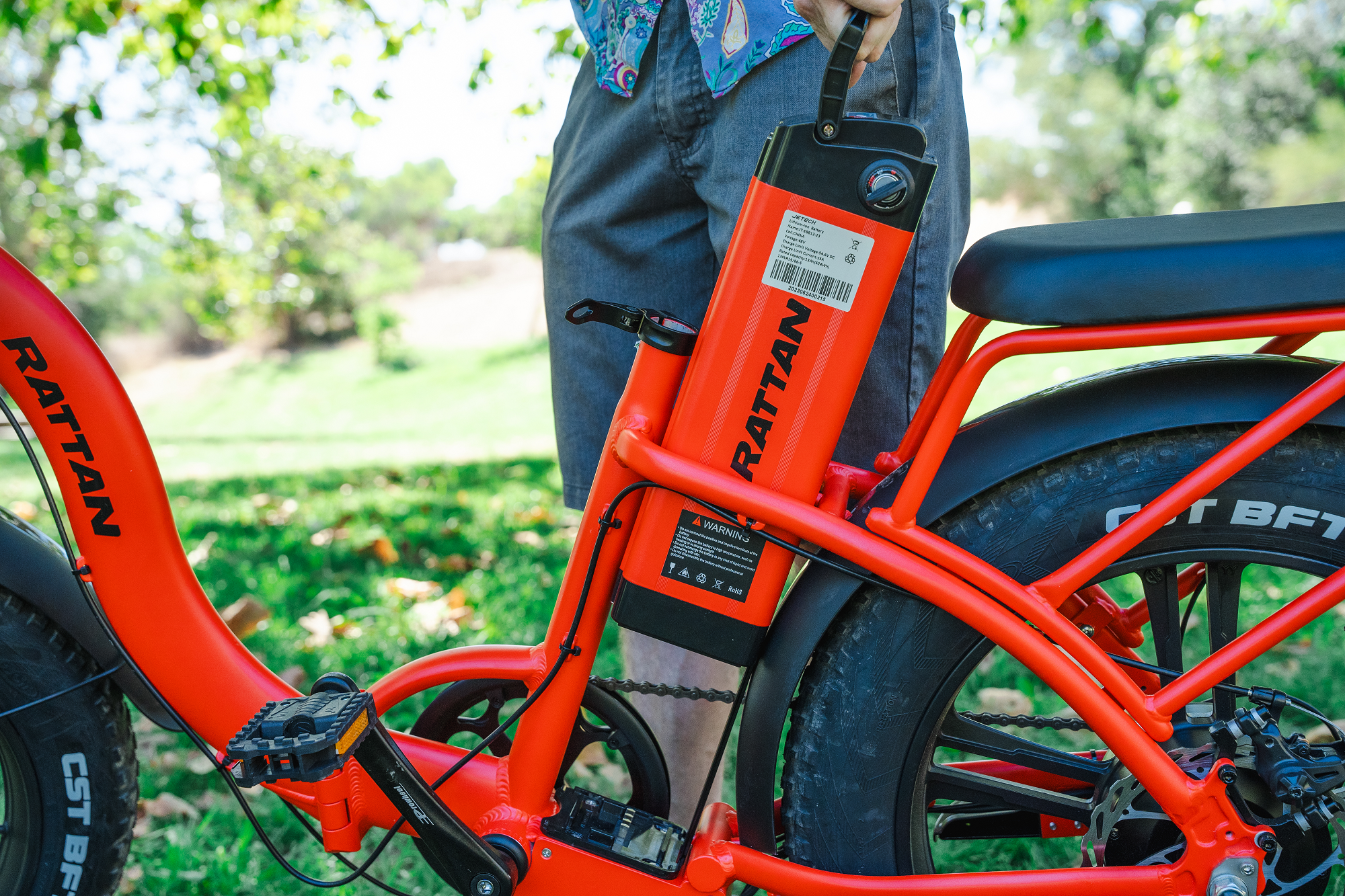 Rattan LF 750 PRO Foldable Ebike | UL Safety Certified