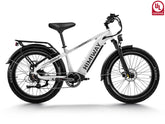 Himiway D5(Zebra) All-terrain Electric Fat Bike