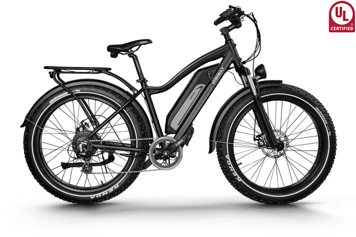 Himiway D3 (Cruiser) Long Range Fat Tire Electric Bike