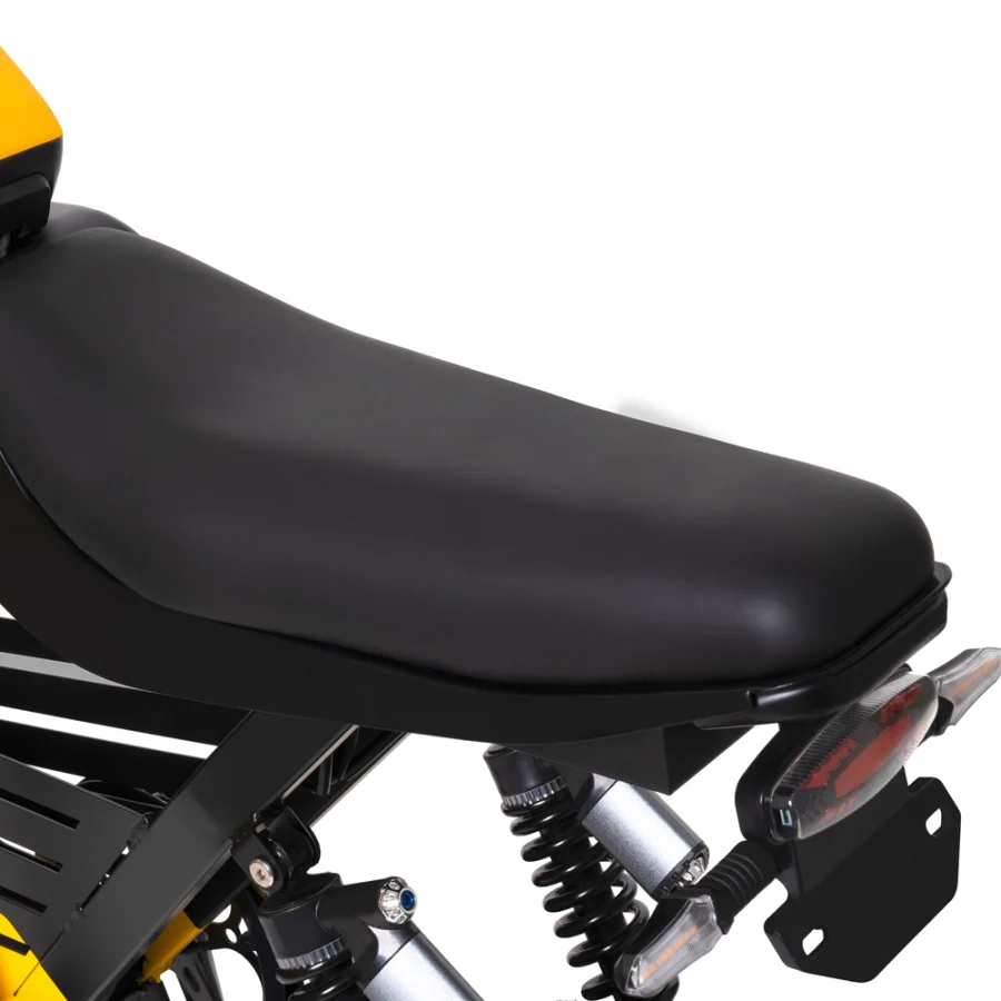 HappyRun G100 Dual Batteries 1000W Fastest Ebike + 4 Years Warrary