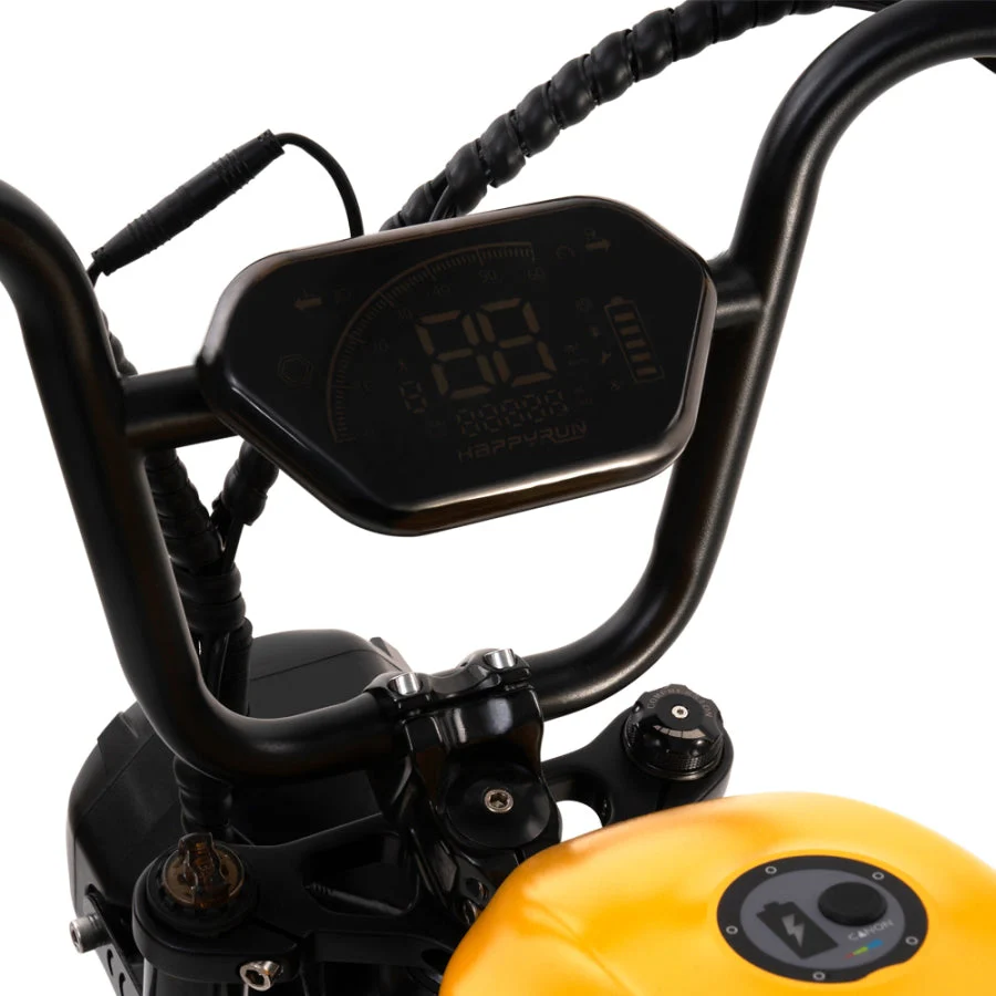 HappyRun G100 Dual Batteries 1000W Fastest Ebike + 4 Years Warrary