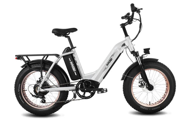 HAOQI Antelope Pro 750W Cargo Electric Bike (UL Certified)- Top Speed 20mph