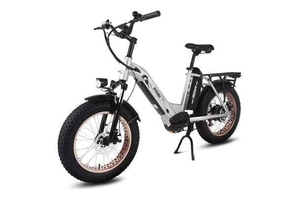 HAOQI Antelope Pro 750W Cargo Electric Bike (UL Certified)- Top Speed 20mph