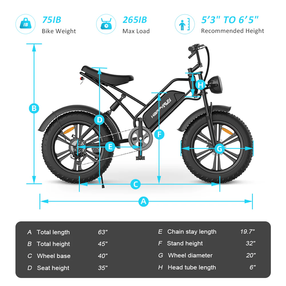 HappyRun Tank G50 Electric Bike Cargo Black City E-bike + 4 Years Warranty