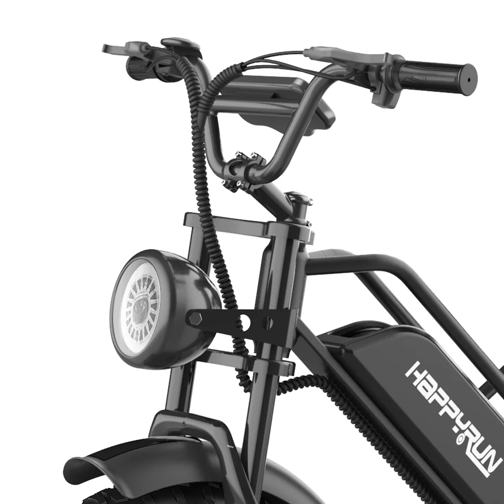 HappyRun Tank G50 Electric Bike Cargo Black City E-bike + 4 Years Warranty