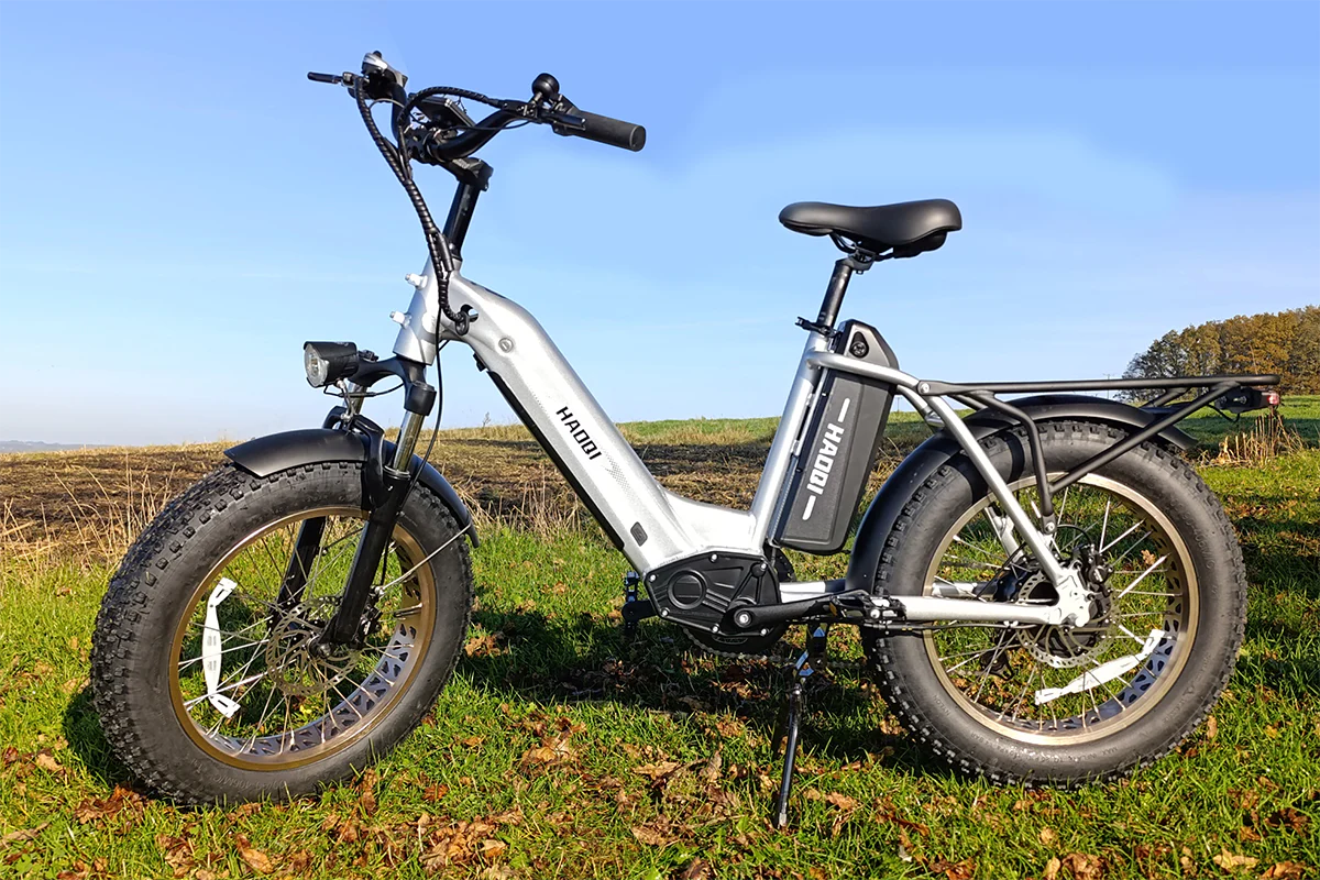 HAOQI Antelope Pro 750W Cargo Electric Bike (UL Certified)- Top Speed 20mph