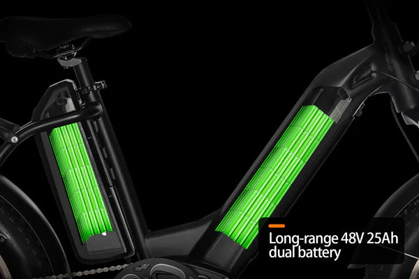 HAOQI Antelope Pro 750W Cargo Electric Bike (UL Certified)- Top Speed 20mph