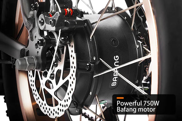 HAOQI Antelope Pro 750W Cargo Electric Bike (UL Certified)- Top Speed 20mph