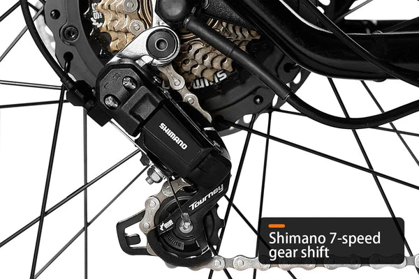 HAOQI Antelope Pro 750W Cargo Electric Bike (UL Certified)- Top Speed 20mph