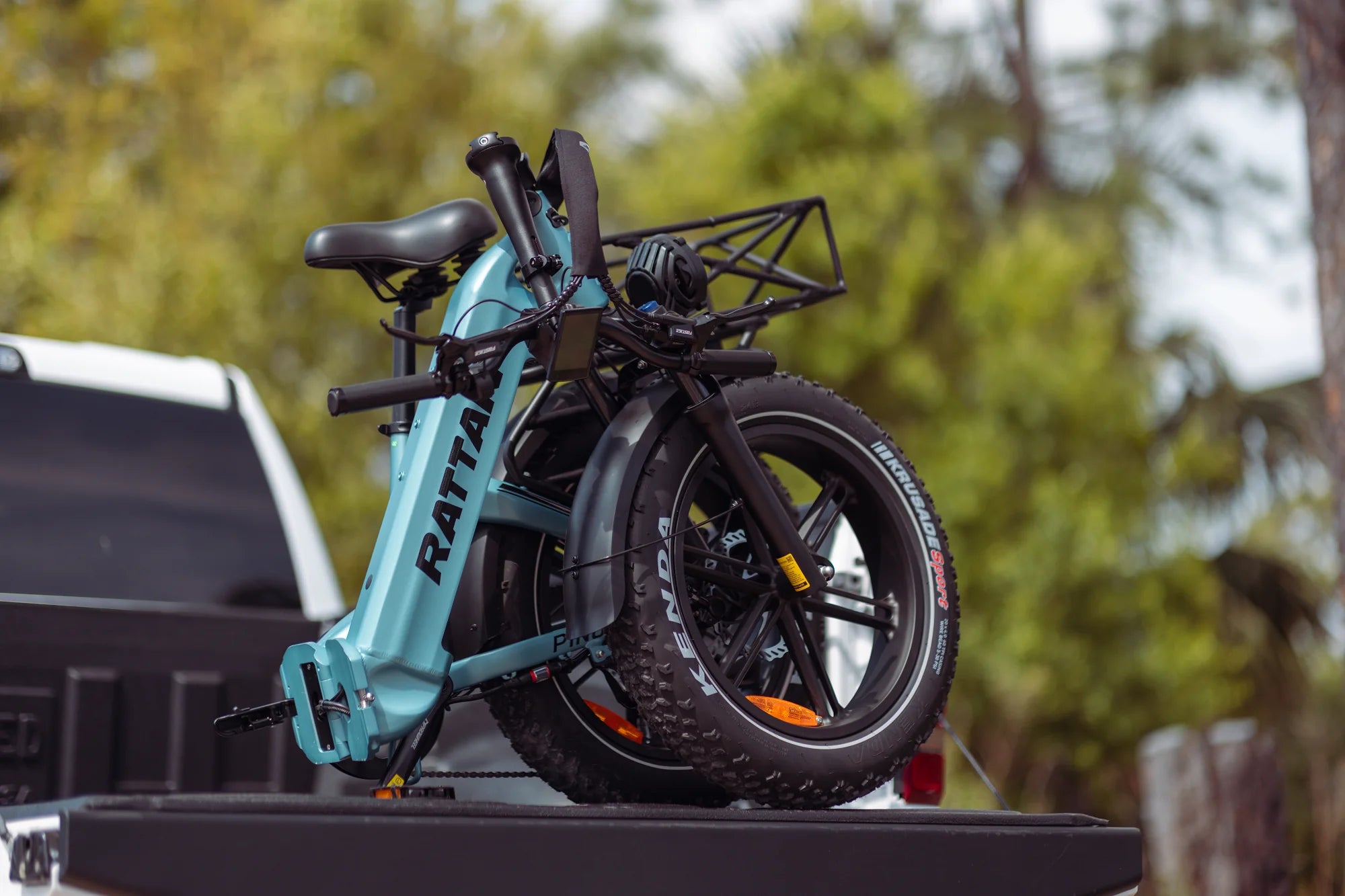 Rattan Pinus Foldable Ebike | UL Safety Certified