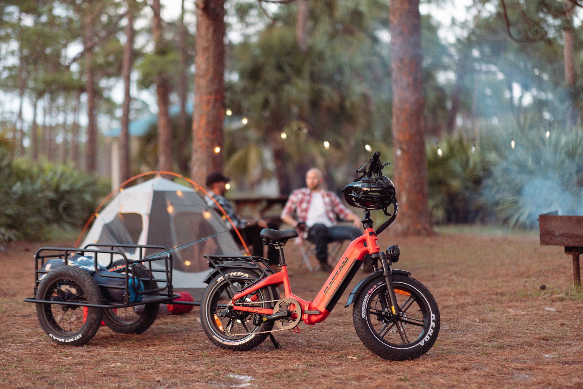 Rattan Pinus Foldable Ebike | UL Safety Certified