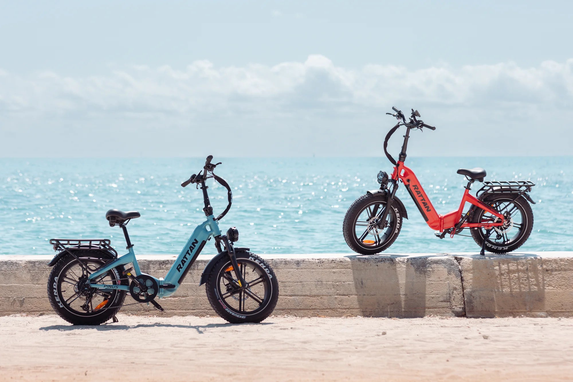 Rattan Pinus Foldable Ebike | UL Safety Certified