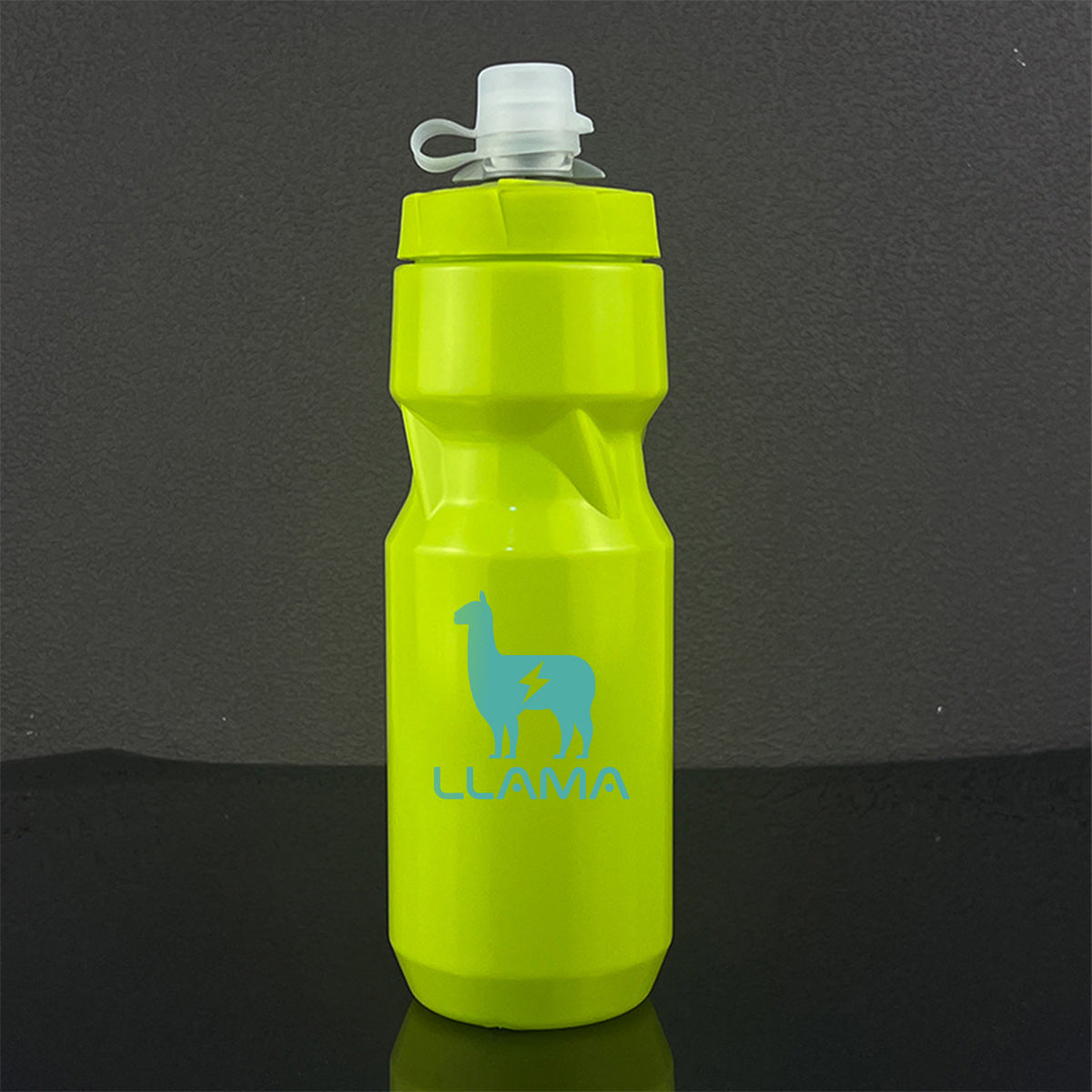 🎁 LLAMA EBIKE Sports Water Bottle (710ml) (100% off)