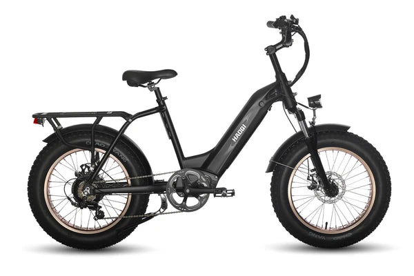 HAOQI Antelope Pro 750W Cargo Electric Bike (UL Certified)- Top Speed 20mph