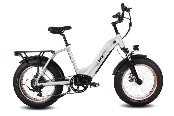 HAOQI Antelope Pro 750W Cargo Electric Bike (UL Certified)- Top Speed 20mph