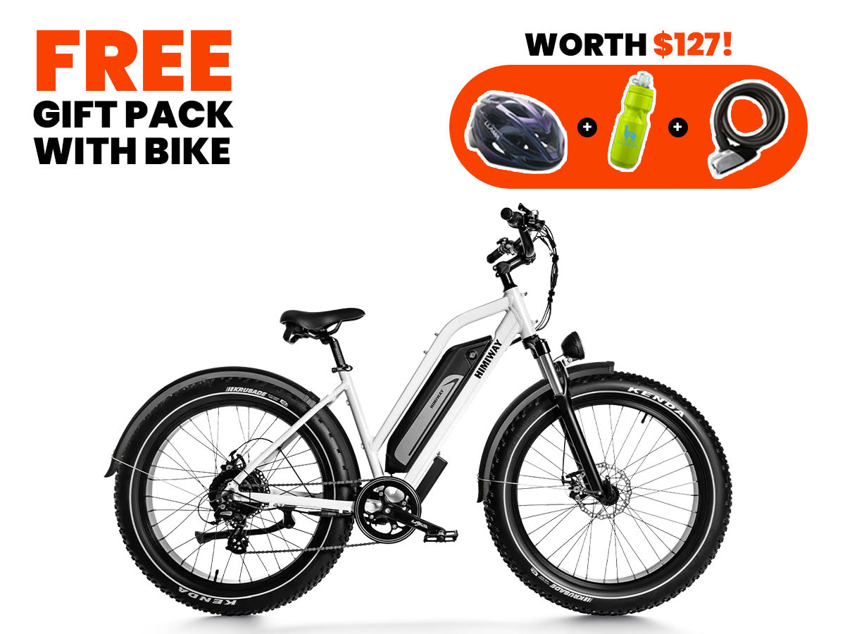 Himiway D3 ST (Cruiser ST) All Terrain Step Thru Electric Bike