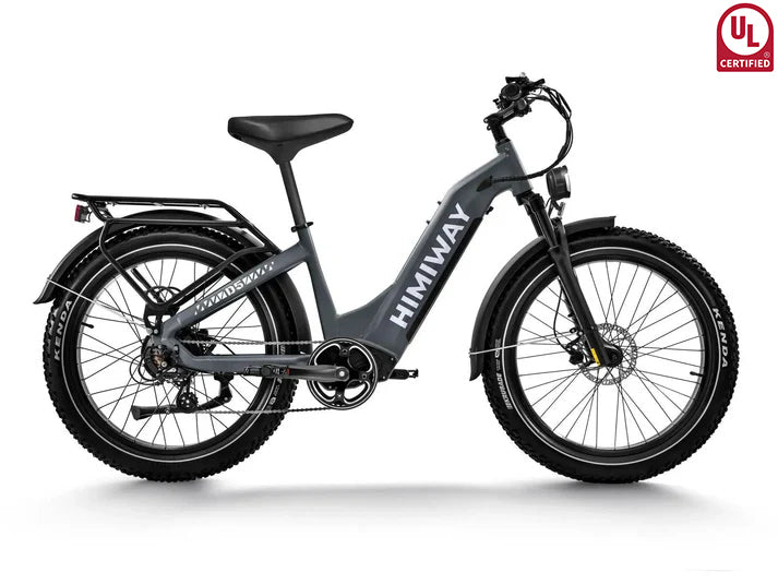 Himiway D5 ST (Zebra ST) All-terrain Electric Fat Bike