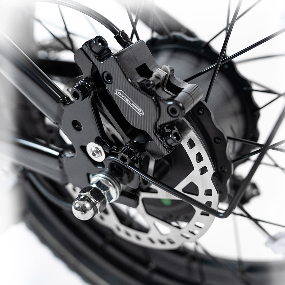 HappyRun G70 Pro Dual-Motor Dual-Battery Electric Cargo Bike