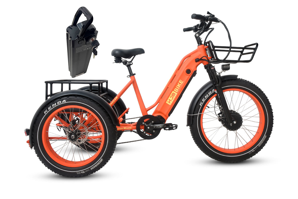 HJM TriHauler Cargo Fat Tire Etrike (Fully Assembled)