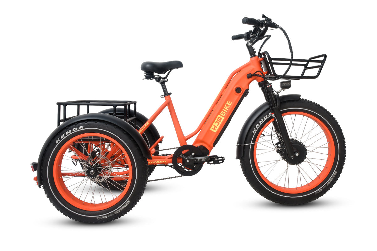 HJM TriHauler Cargo Fat Tire Etrike (Fully Assembled)