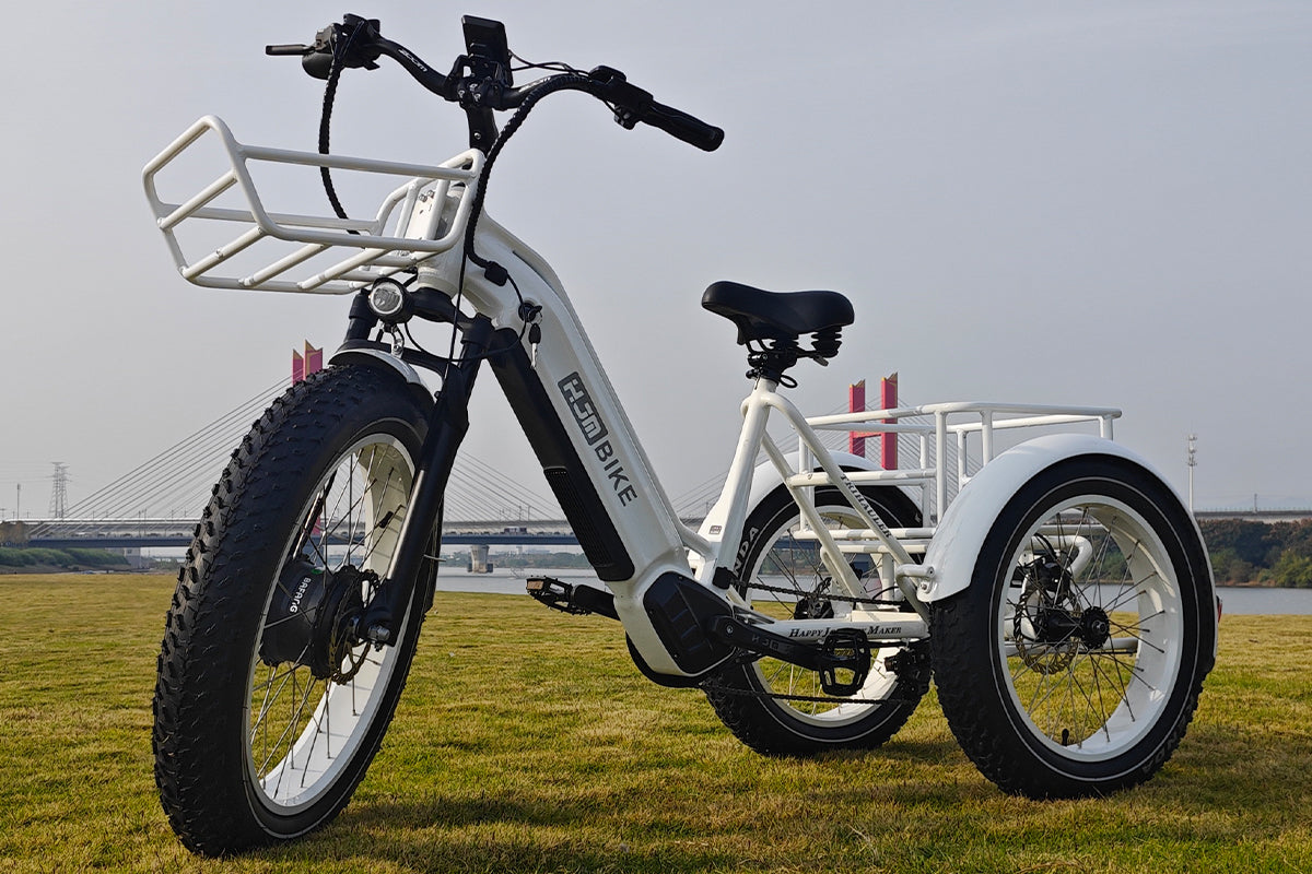 HJM TriHauler Cargo Fat Tire Etrike (Fully Assembled)