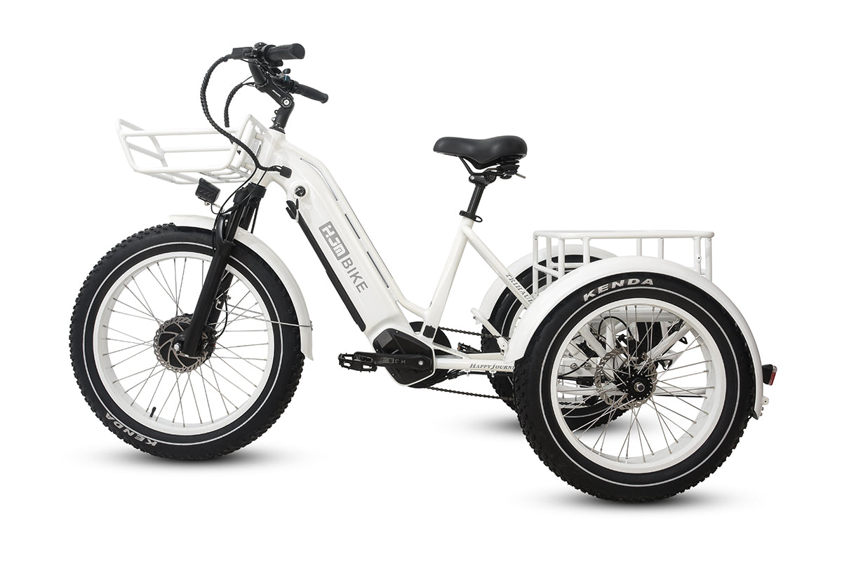 HJM TriHauler Cargo Fat Tire Etrike (Fully Assembled)