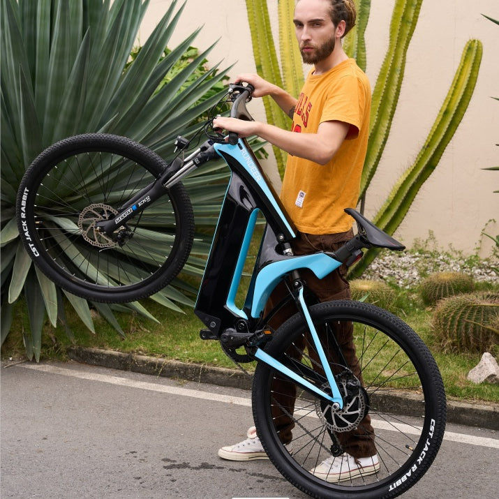 Rundeer Starry Sky UD Carbon Fiber Electric Bike - Top Speed 20mph | UL Safety Certified