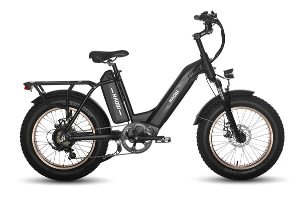HAOQI Antelope Pro 750W Cargo Electric Bike (UL Certified)- Top Speed 20mph